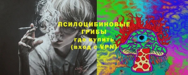 меф Арсеньев