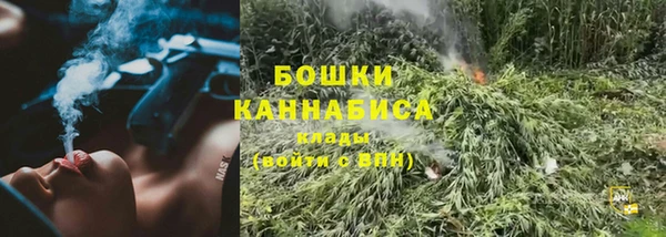 меф Арсеньев