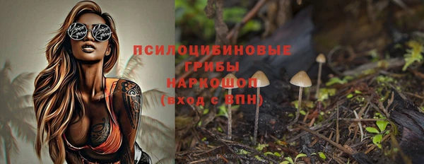 меф Арсеньев