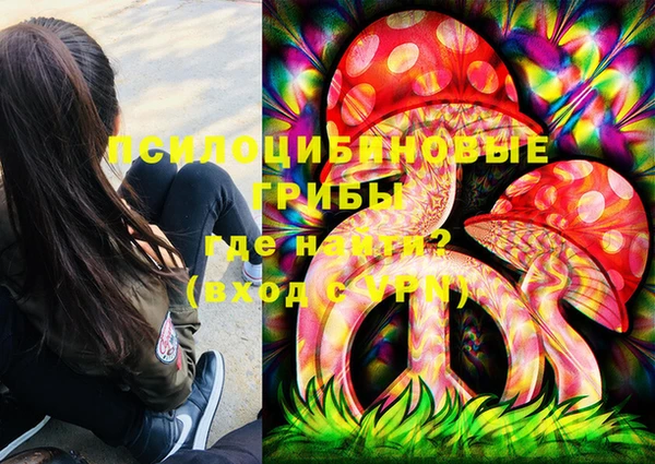 меф Арсеньев