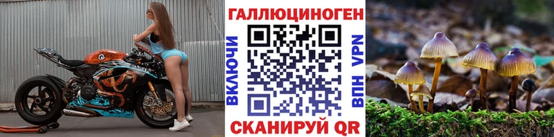дарк нет клад  Гороховец  Галлюциногенные грибы GOLDEN TEACHER  даркнет сайт 